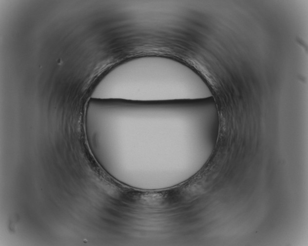 X0000091640357200708230953