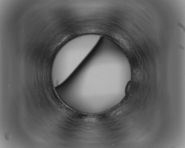 X0000091640358200708230953