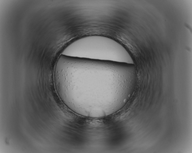 X0000091640359200708230953