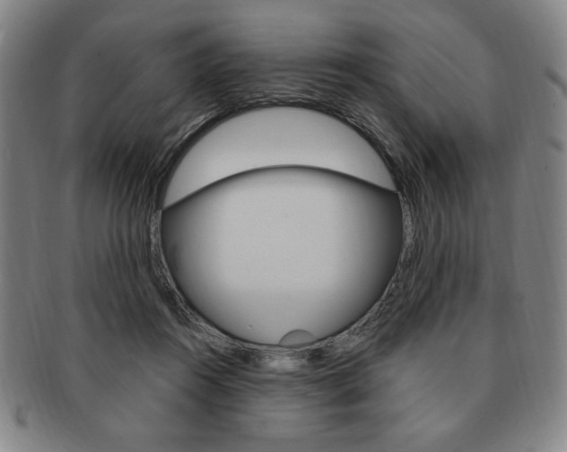 X0000091640360200708230953