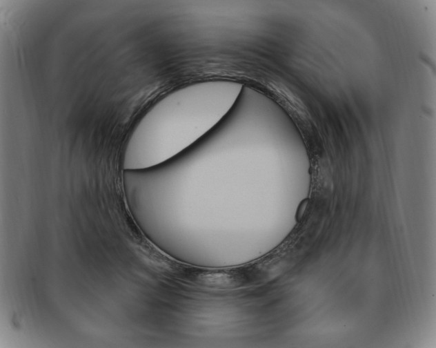 X0000091640361200708230953