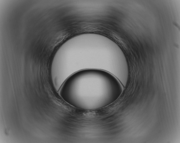 X0000091640362200708230953