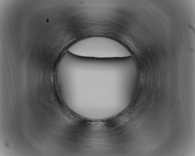 X0000091640363200708230953