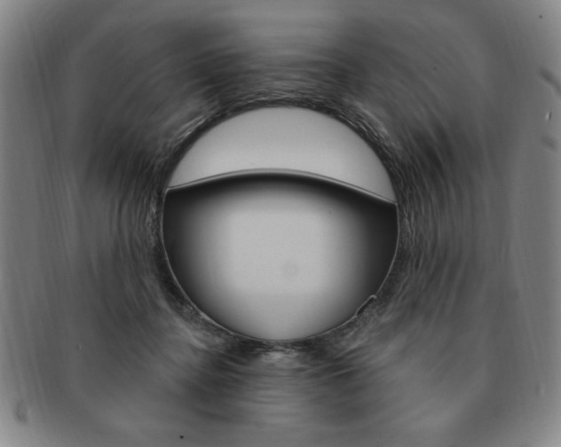 X0000091640364200708230953