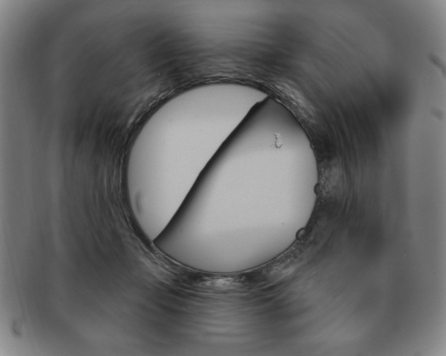 X0000091640365200708230953