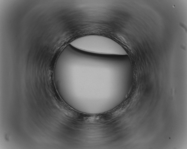 X0000091640366200708230953