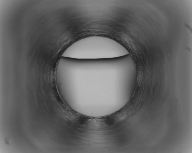 X0000091640367200708230953