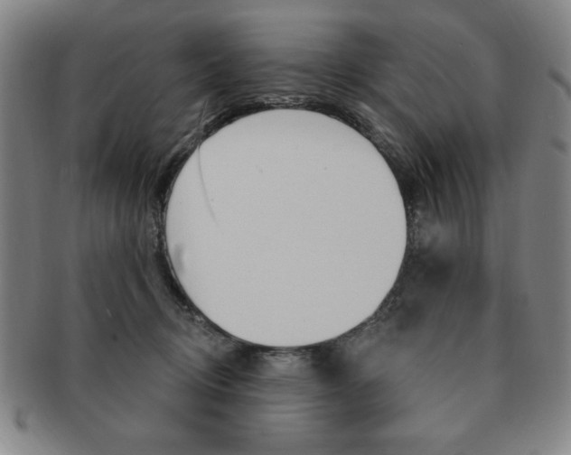 X0000091640370200708230954