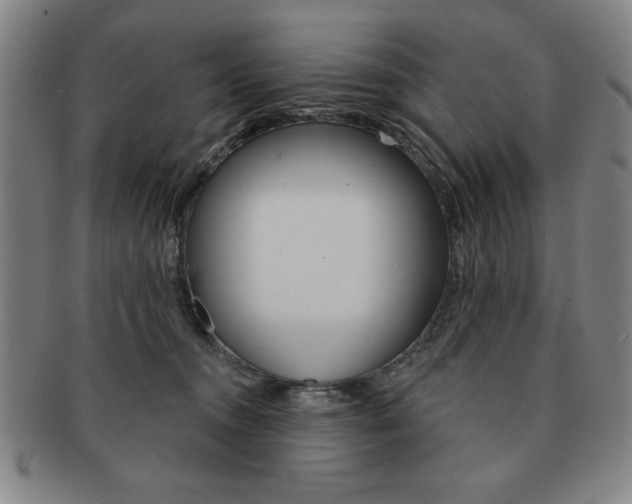 X0000091640372200708230954