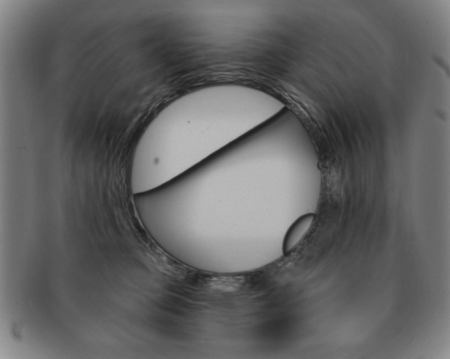 X0000091640373200708230954