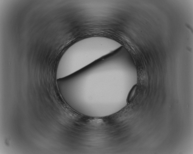 X0000091640374200708230954