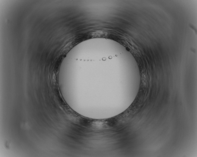 X0000091640375200708230954