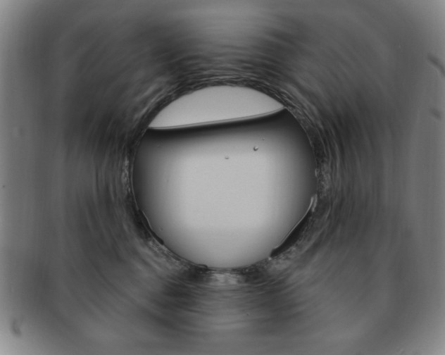 X0000091640376200708230954