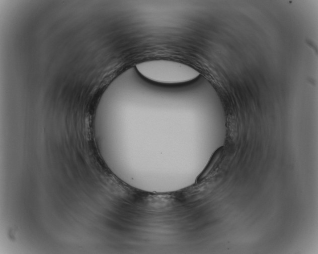 X0000091640378200708230954