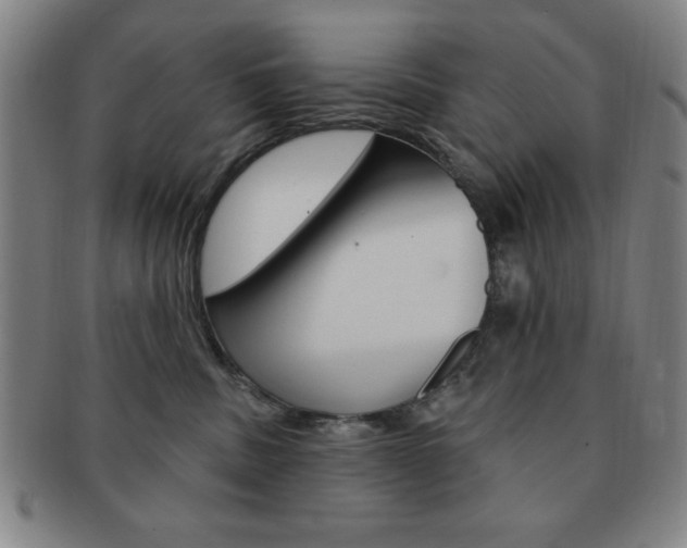 X0000091640379200708230954