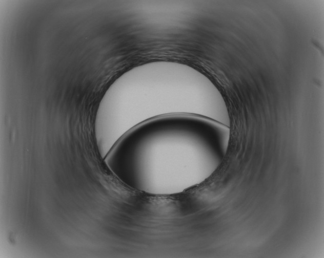 X0000091640380200708230954