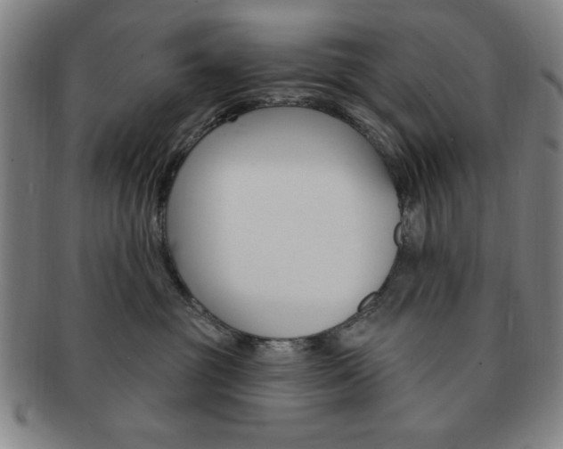 X0000091640381200708230954