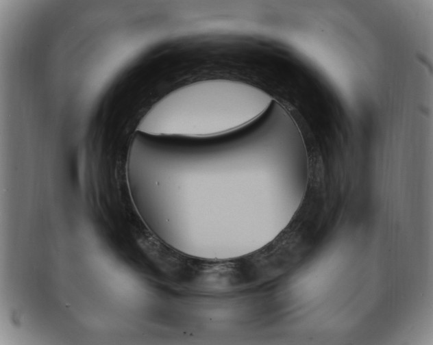 X0000091640382200708230954