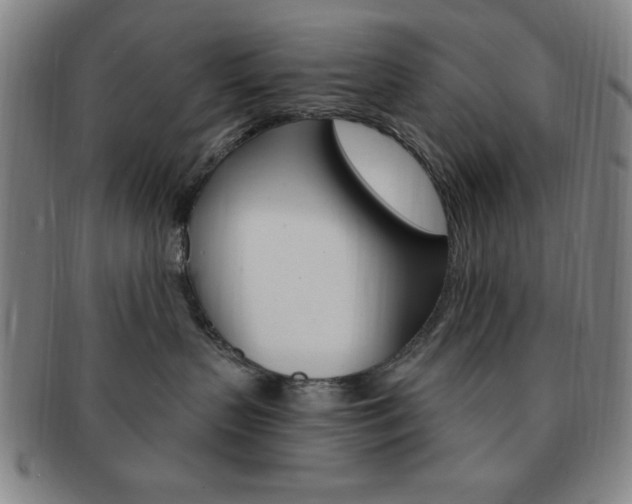 X0000091640383200708230954