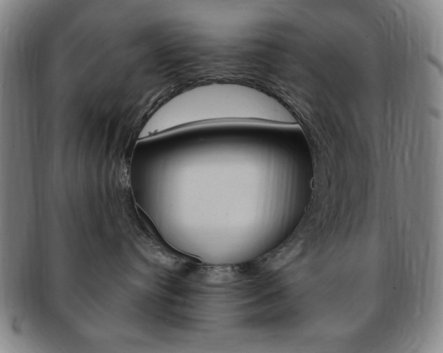 X0000091640384200708230954