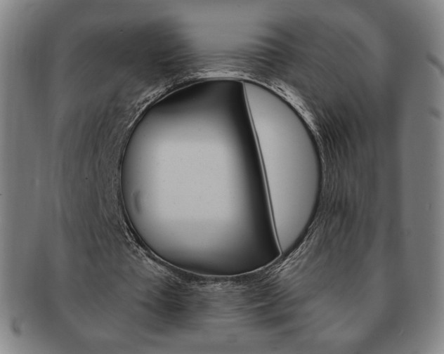 X0000091640385200708230953