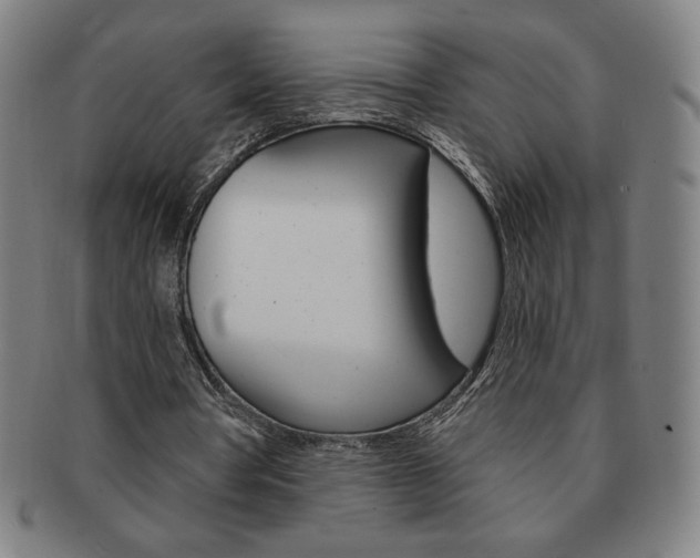 X0000091640386200708230953