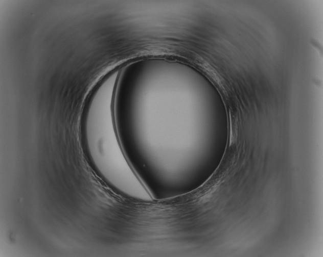 X0000091640387200708230953