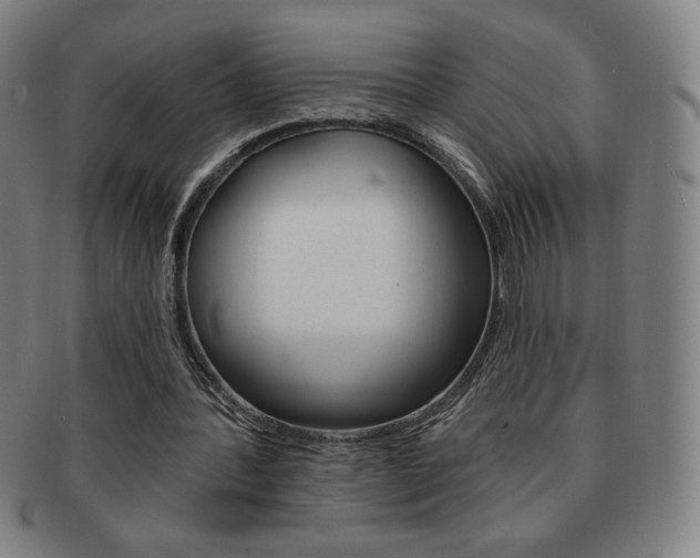 X0000091640388200708230953