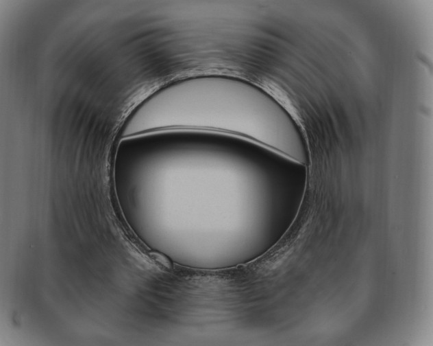 X0000091640389200708230953