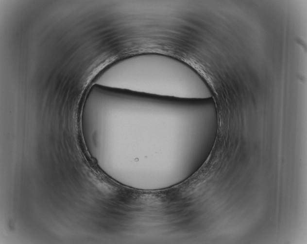 X0000091640390200708230953