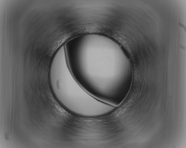 X0000091640393200708230953