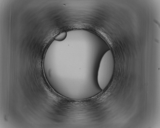 X0000091640394200708230953