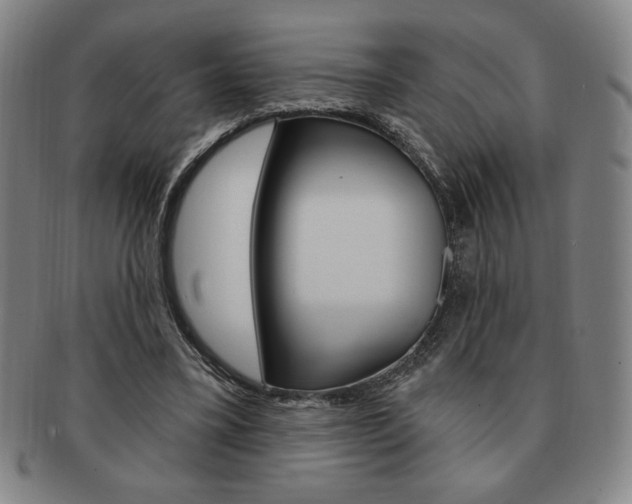 X0000091640395200708230953