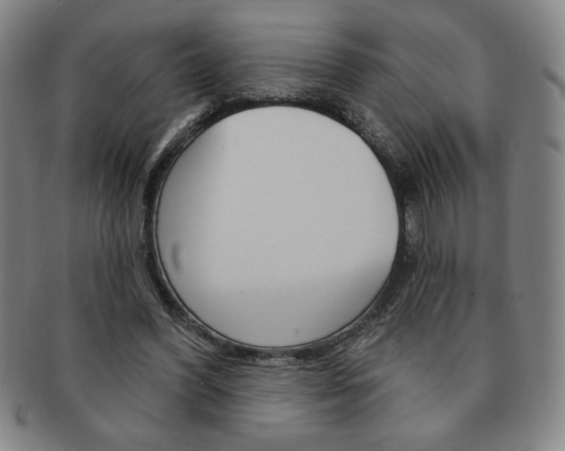 X0000091640396200708230953