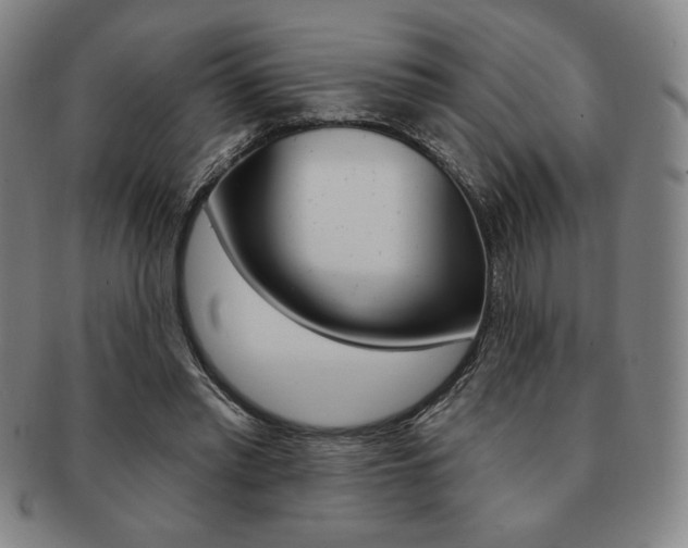 X0000091640397200708230953