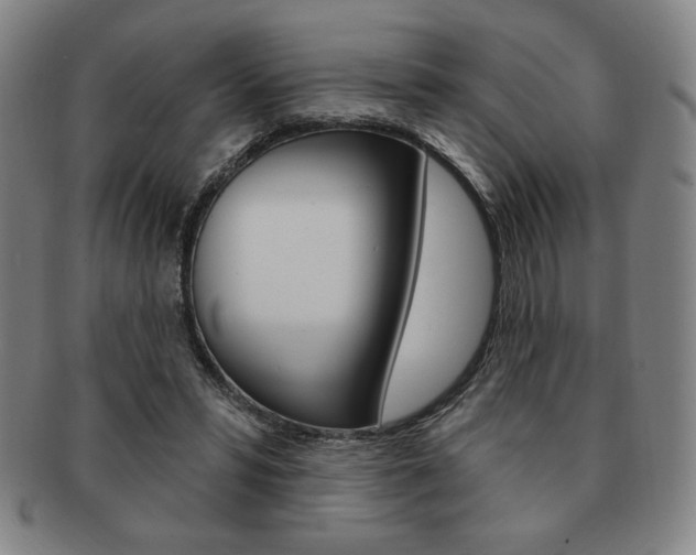 X0000091640399200708230953