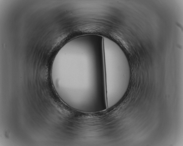 X0000091640400200708230953