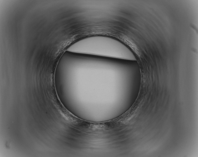 X0000091640401200708230953