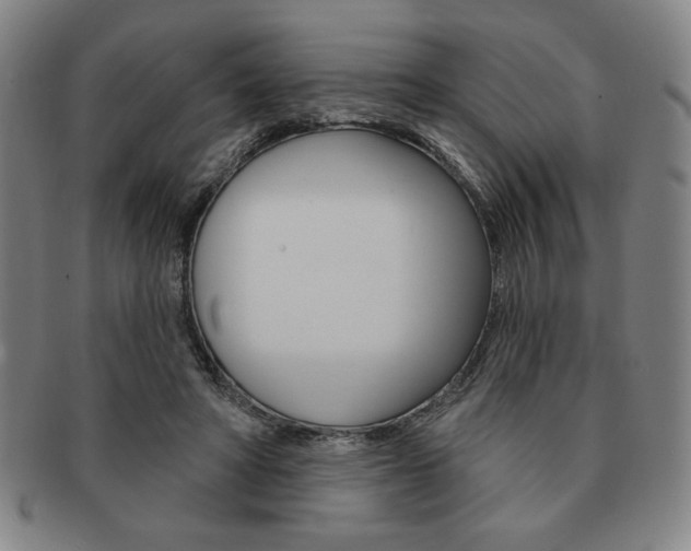 X0000091640402200708230953