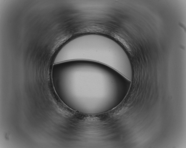 X0000091640403200708230953