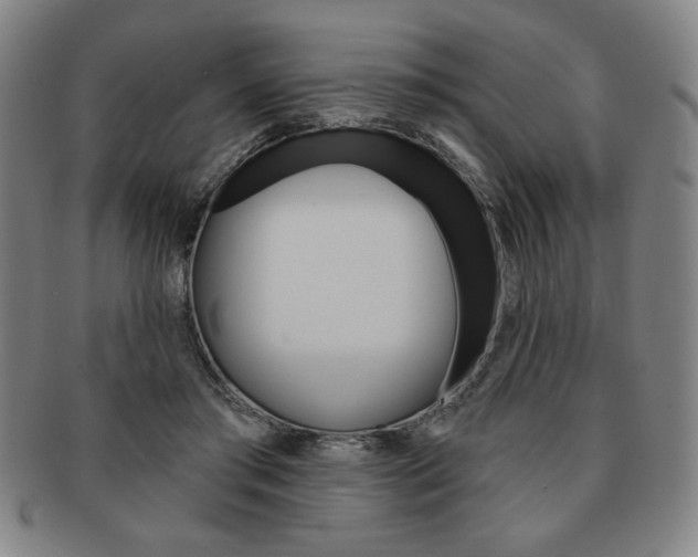 X0000091640405200708230953