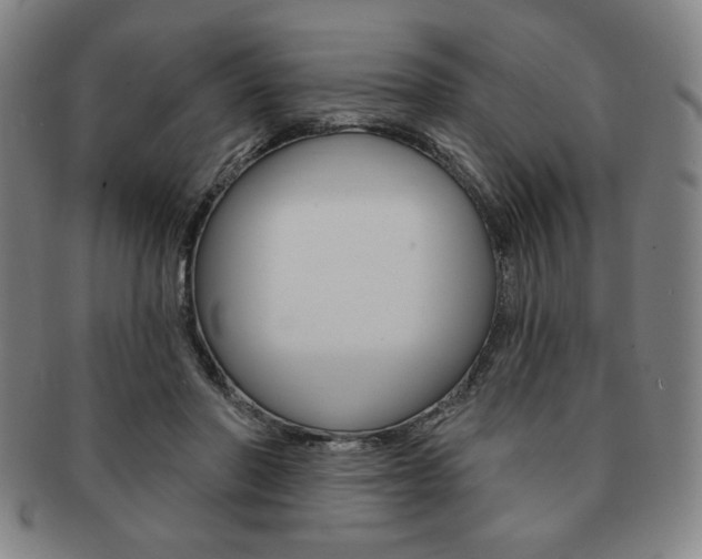 X0000091640406200708230953