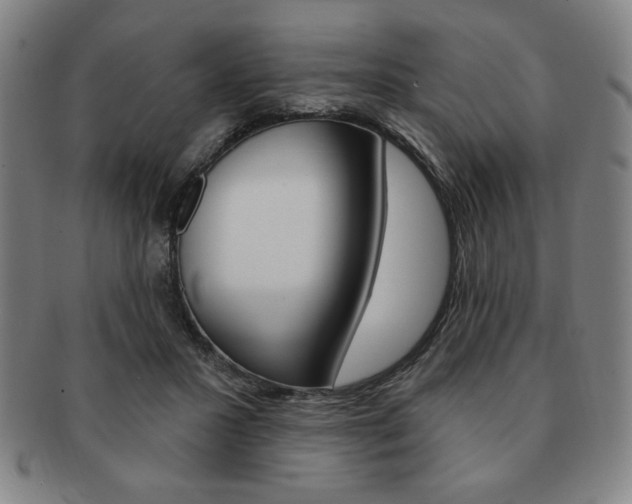 X0000091640407200708230953