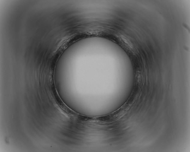 X0000091640408200708230953