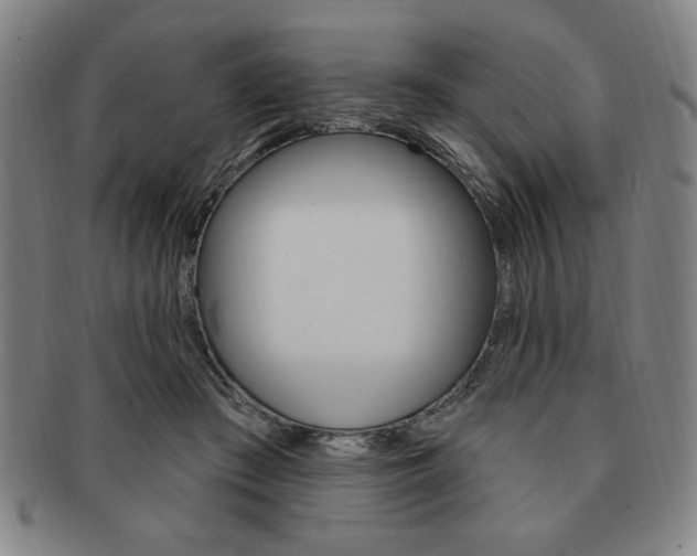 X0000091640409200708230953