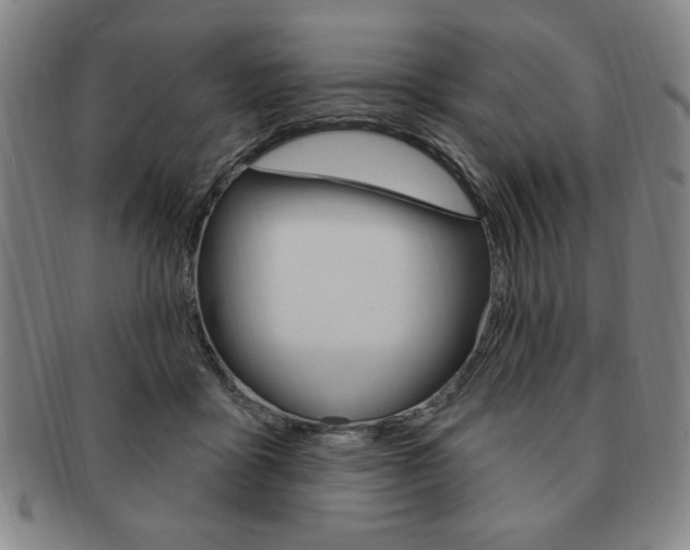 X0000091640411200708230953