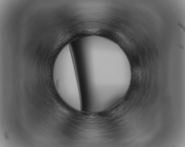 X0000091640412200708230953