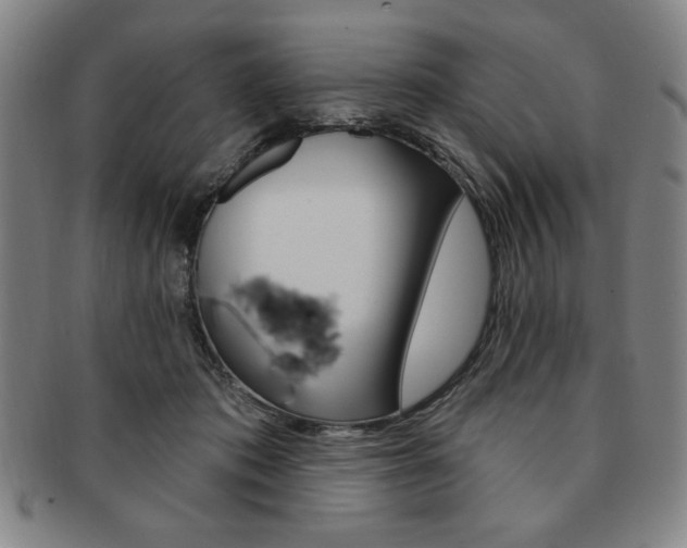 X0000091640413200708230953