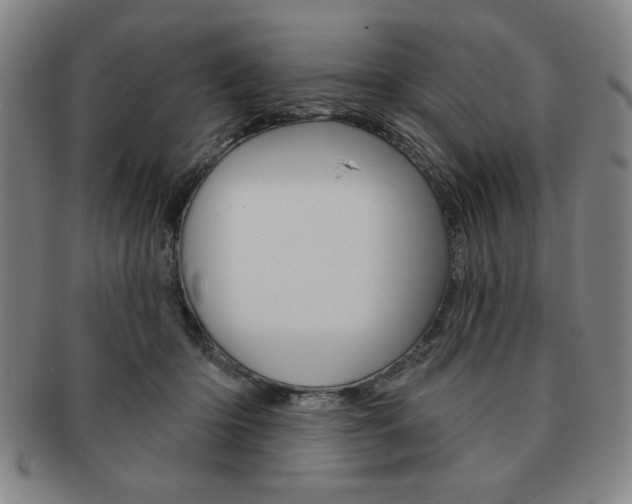 X0000091640414200708230953
