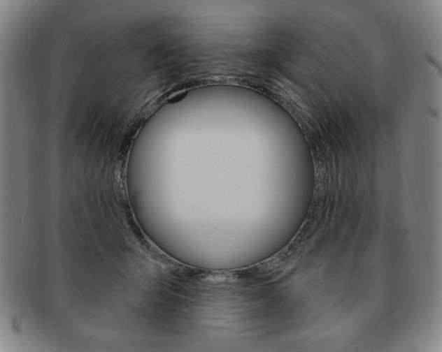 X0000091640415200708230953